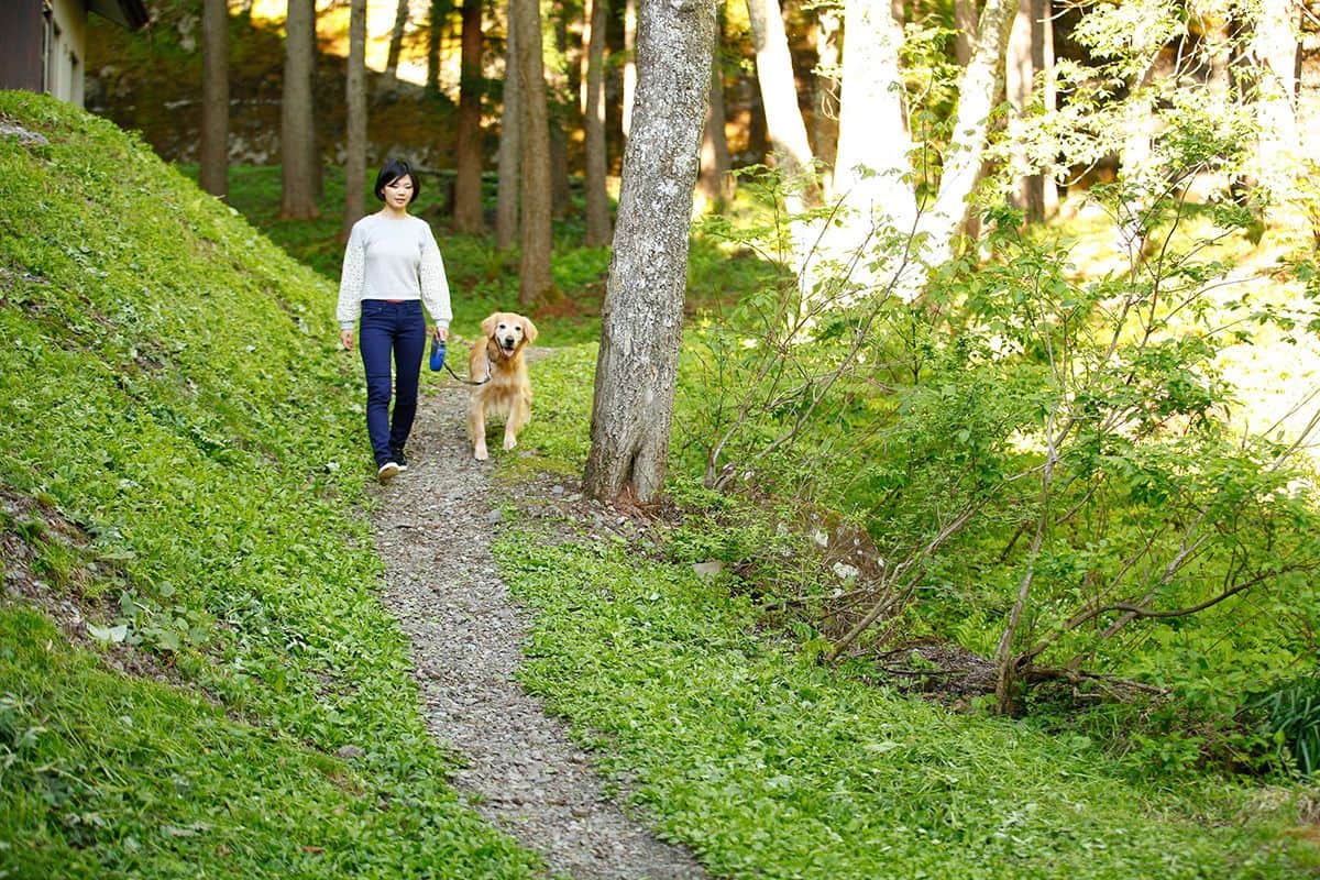 お散歩コース - 2