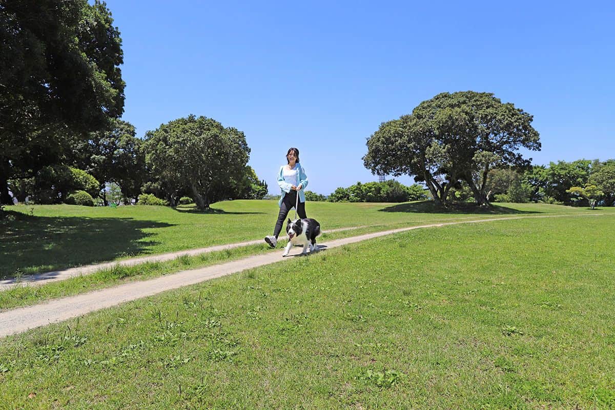 敷地内お散歩コース - 1