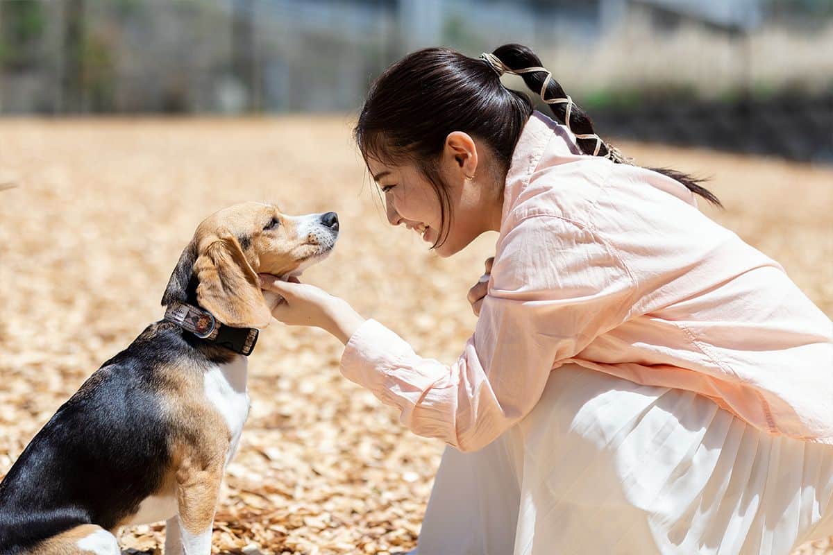 DOG PARK - 3