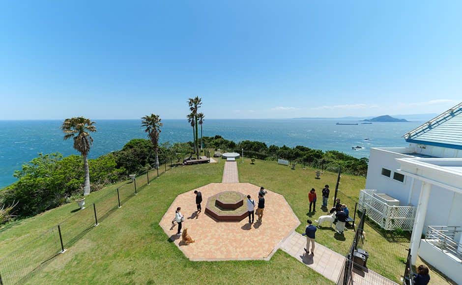 Dog Park（狗跑道）- 0