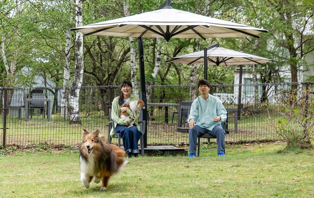 DOG PARK - 0