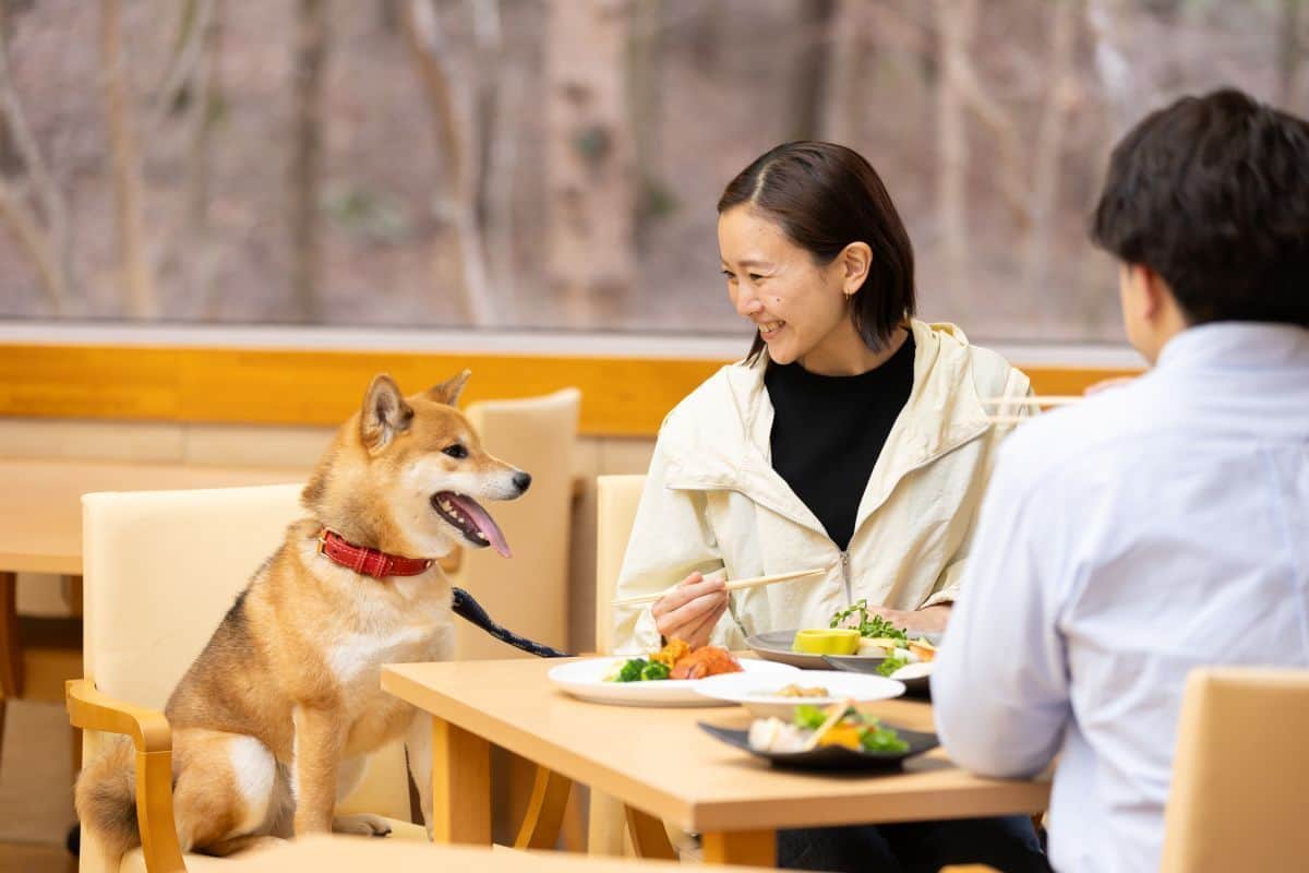 <p><span><strong>リードフック、愛犬用シート完備のレストランで愛犬と一緒に安心して食事が可能</strong></span></p>