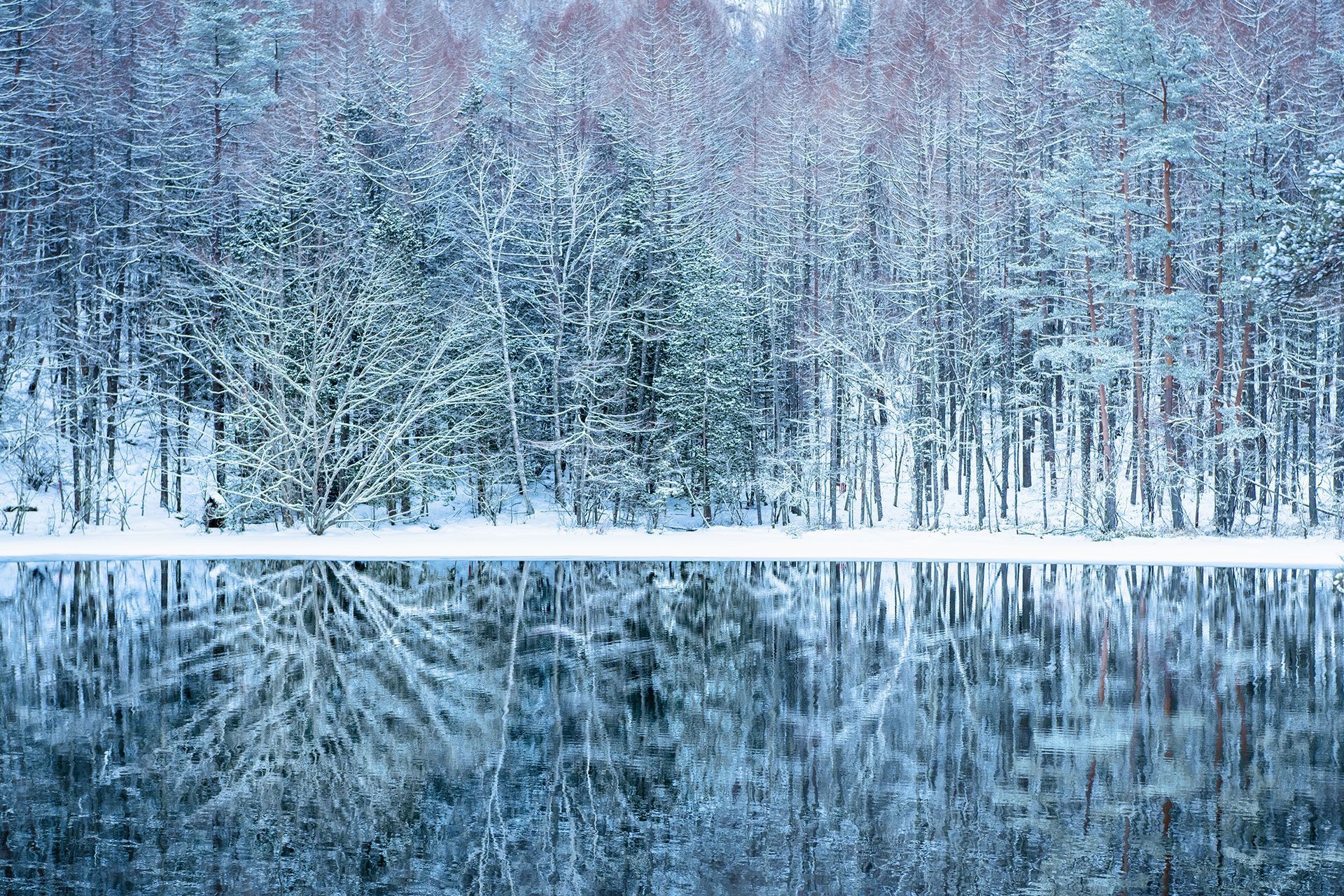 WINTER