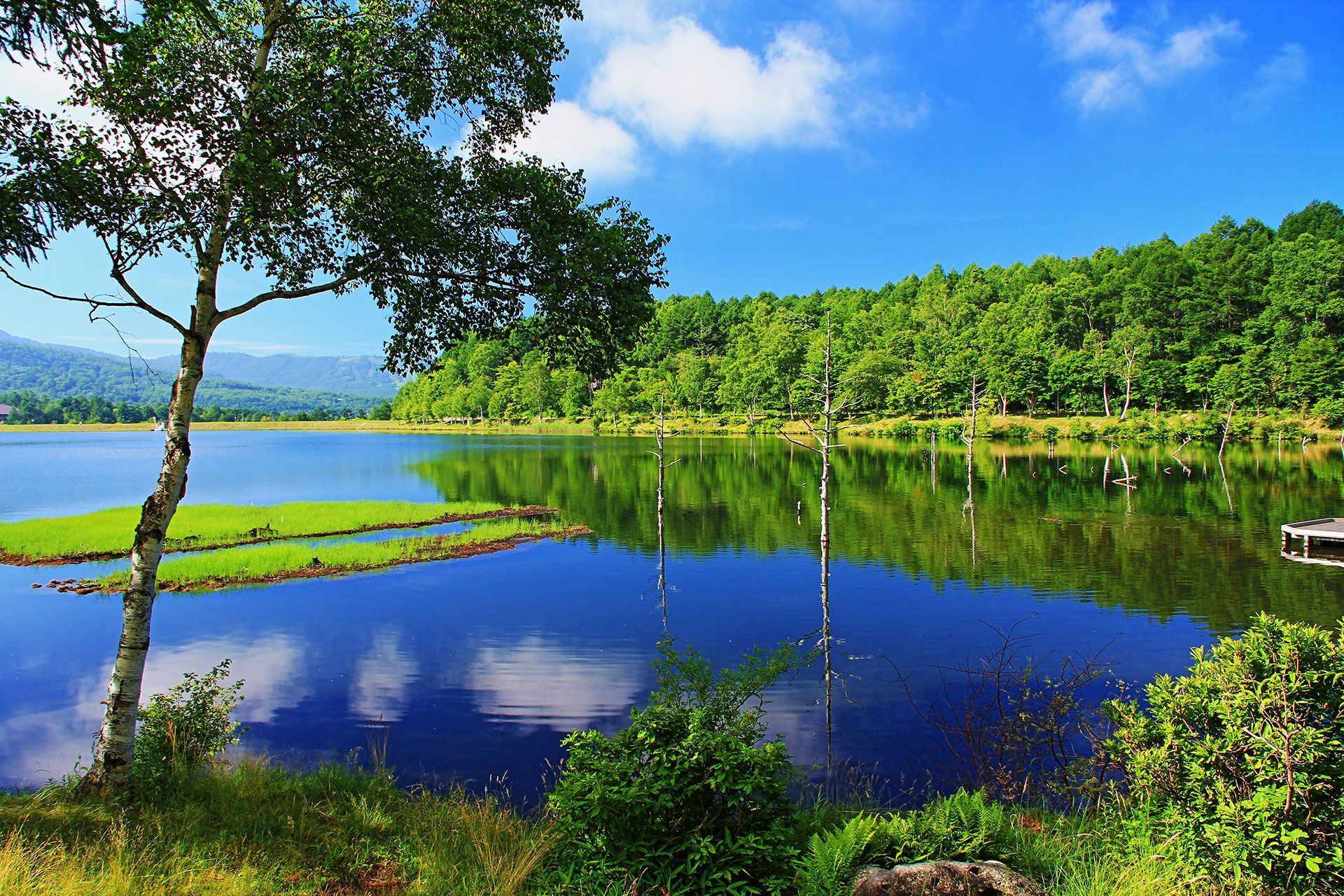 SUMMER