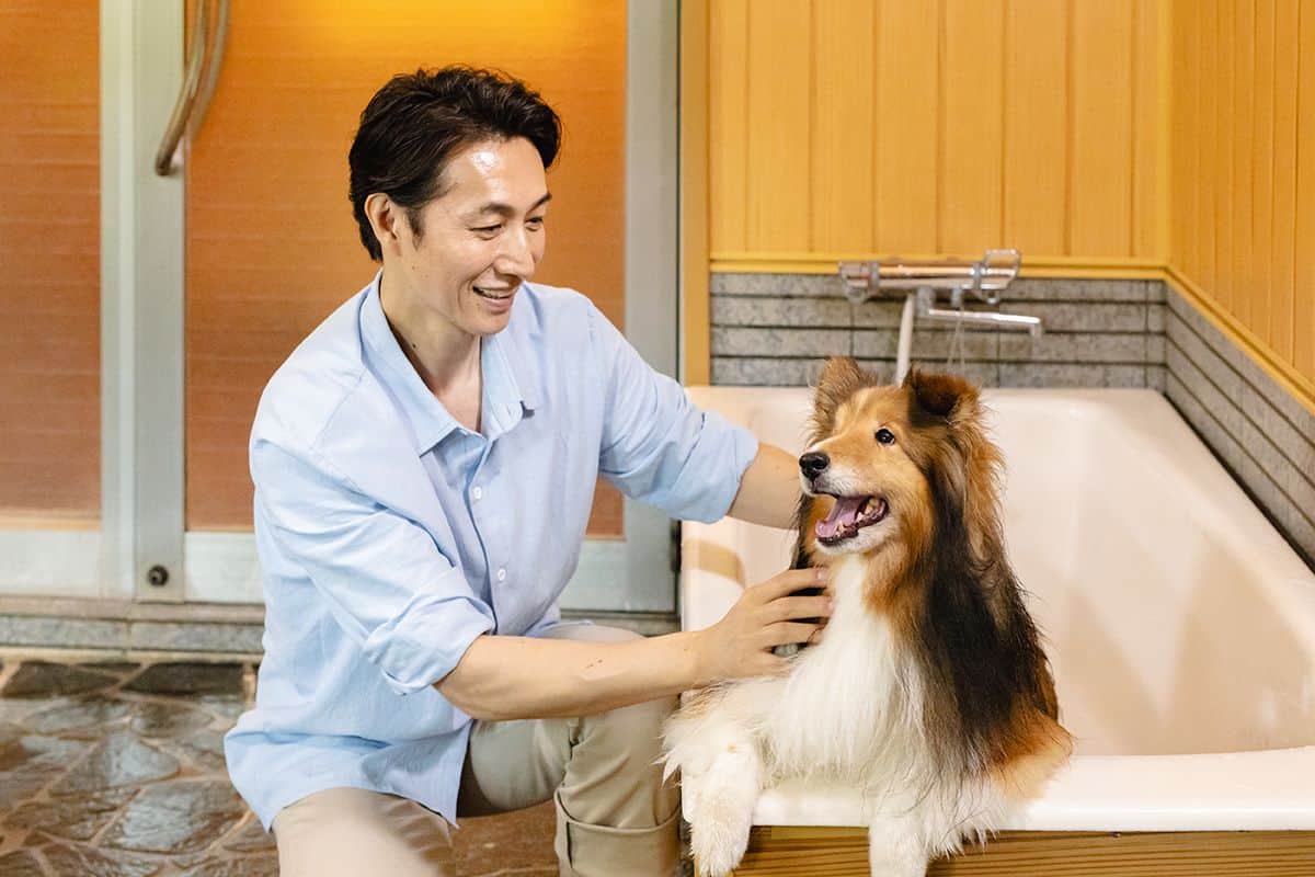わんちゃん専用風呂付 貸切個室風呂