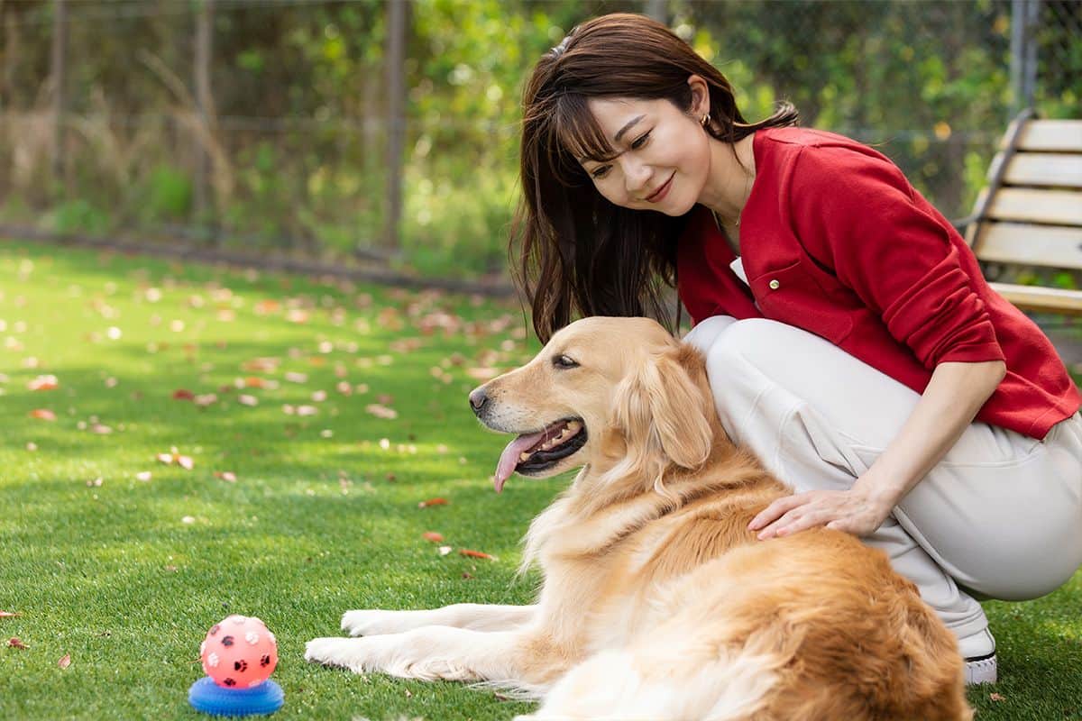 DOG PARK - 1