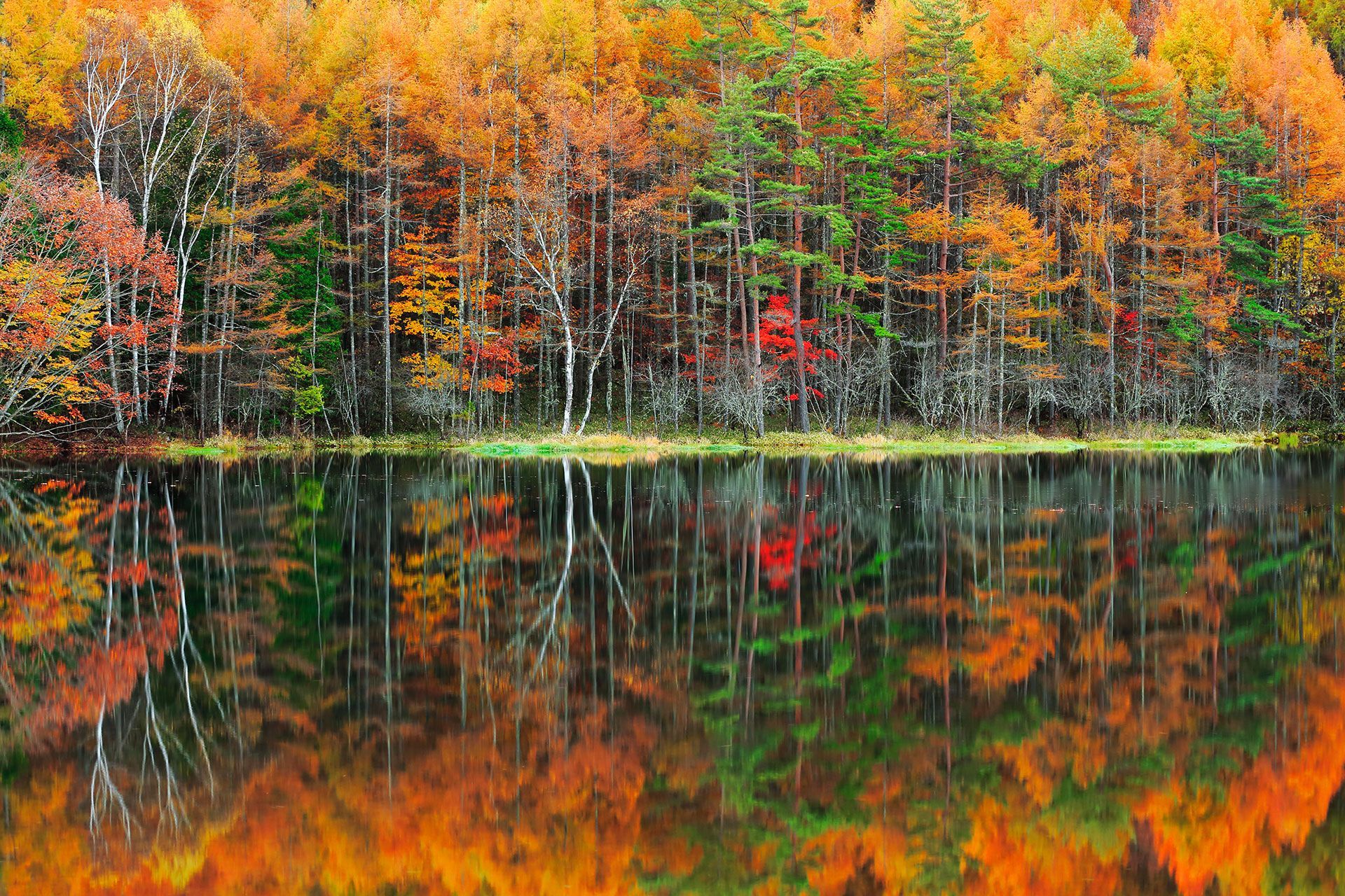 AUTUMN