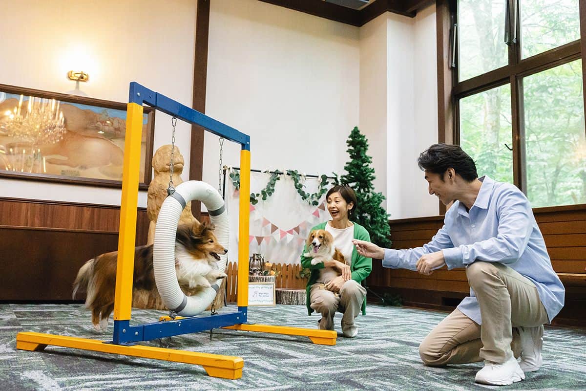 Indoor Play Space
