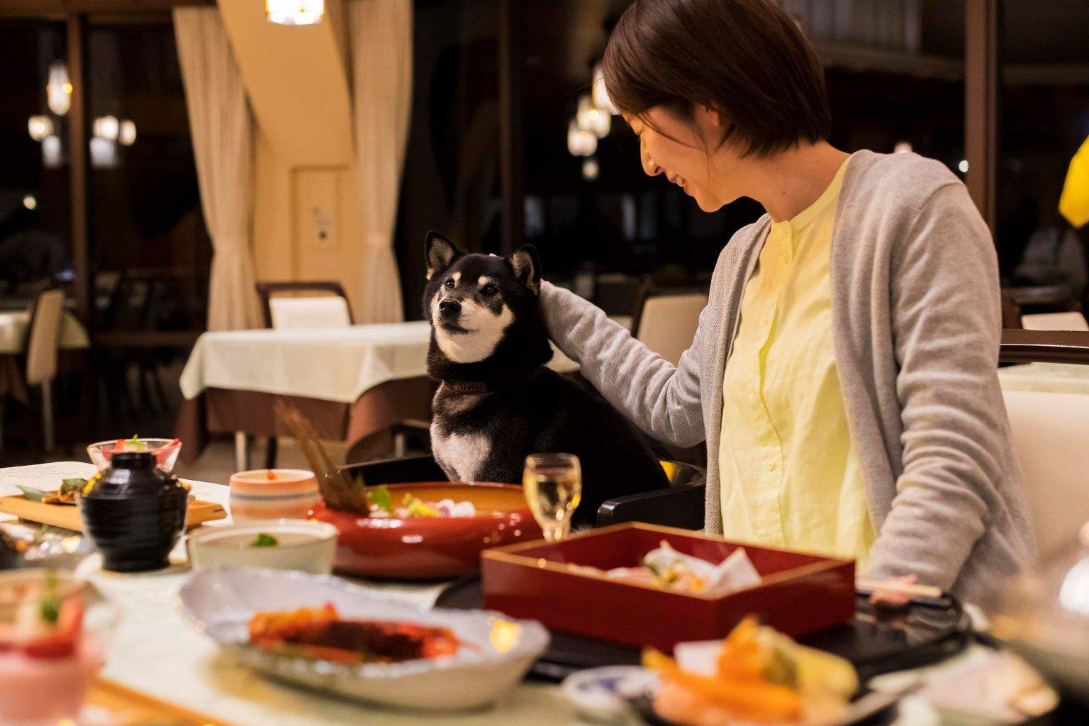 <p><span><strong>リードフック、愛犬用シート完備のレストランで愛犬と一緒に安心して食事が可能</strong></span></p>
