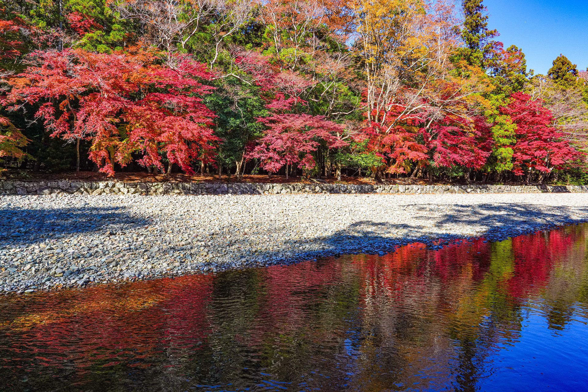 AUTUMN
