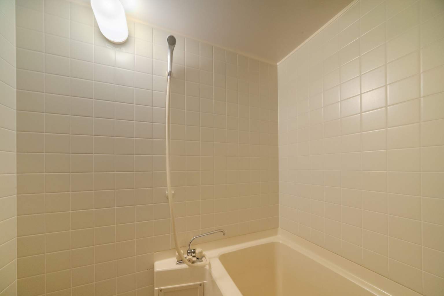 [Lake View] Japanese-style room, 12.5 tatami mats, 3