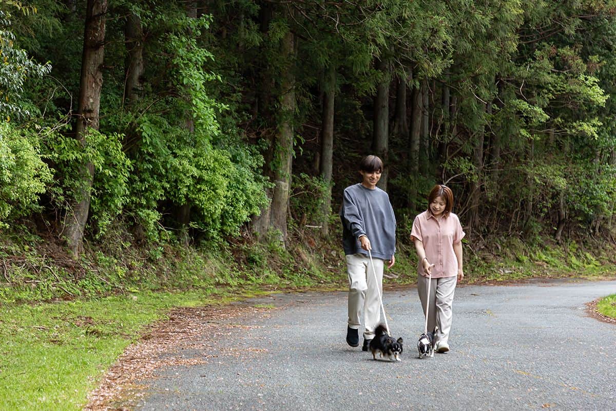 Walking Route - 3