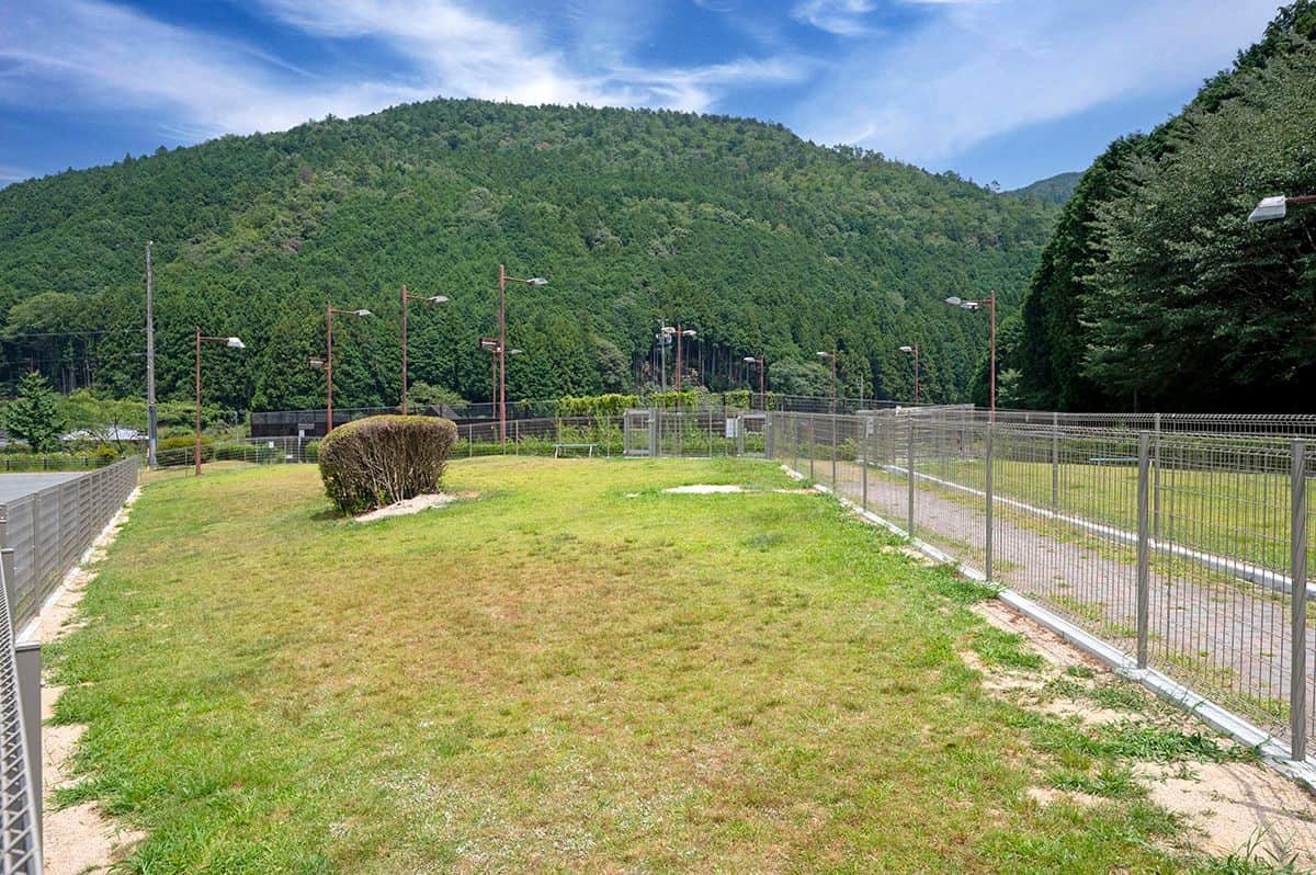 DOG PARK (Breed-Free) - 1