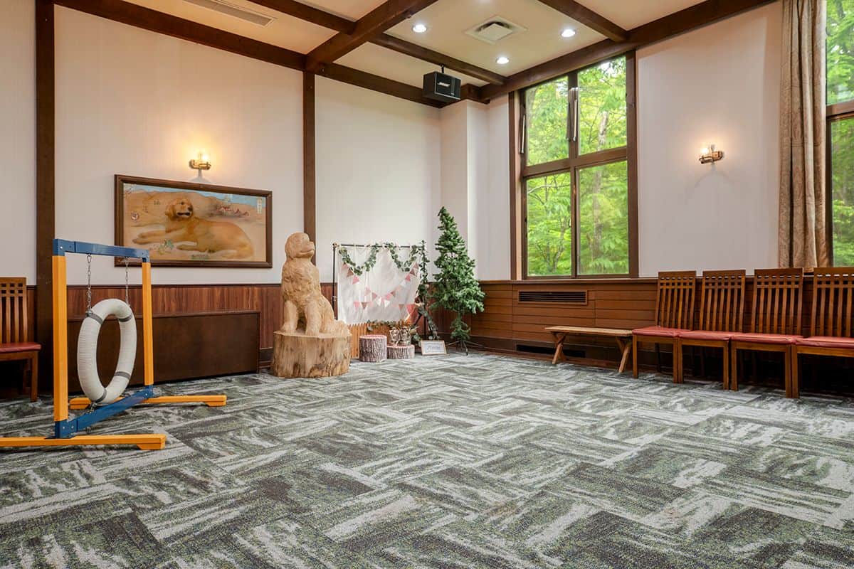 Indoor Play Space