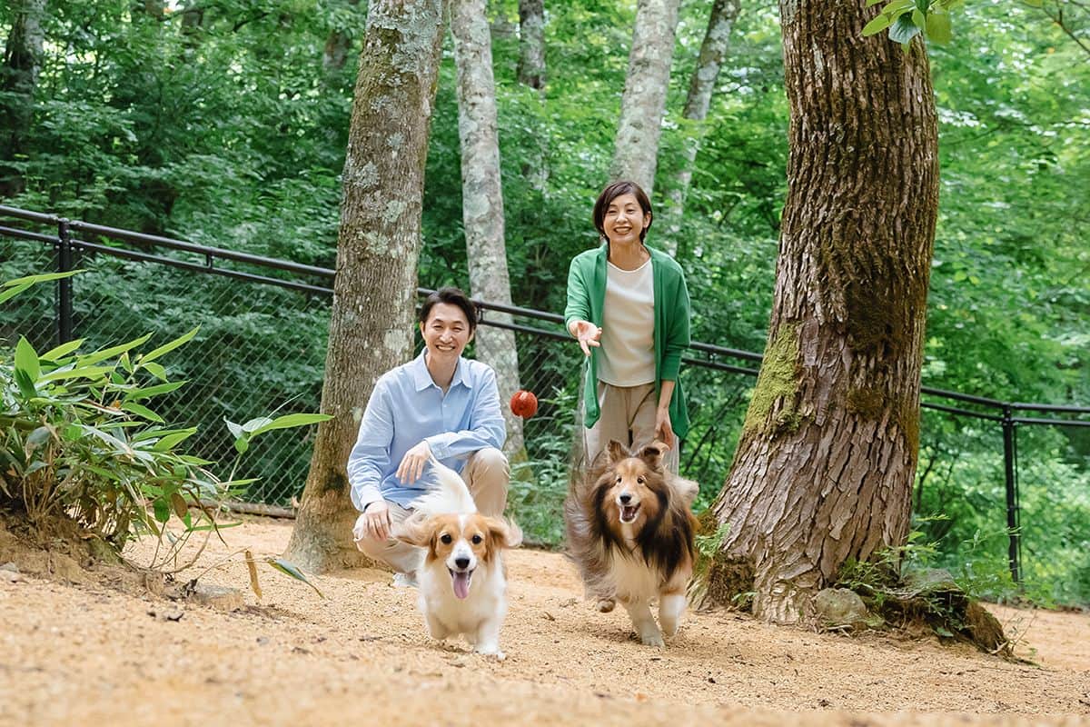 DOG PARK (소형견 우선)