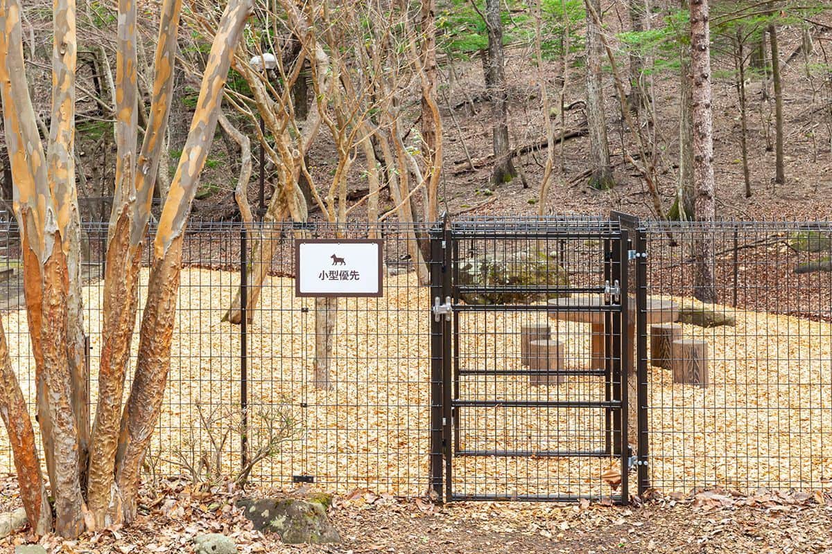 DOG PARK（小型優先）