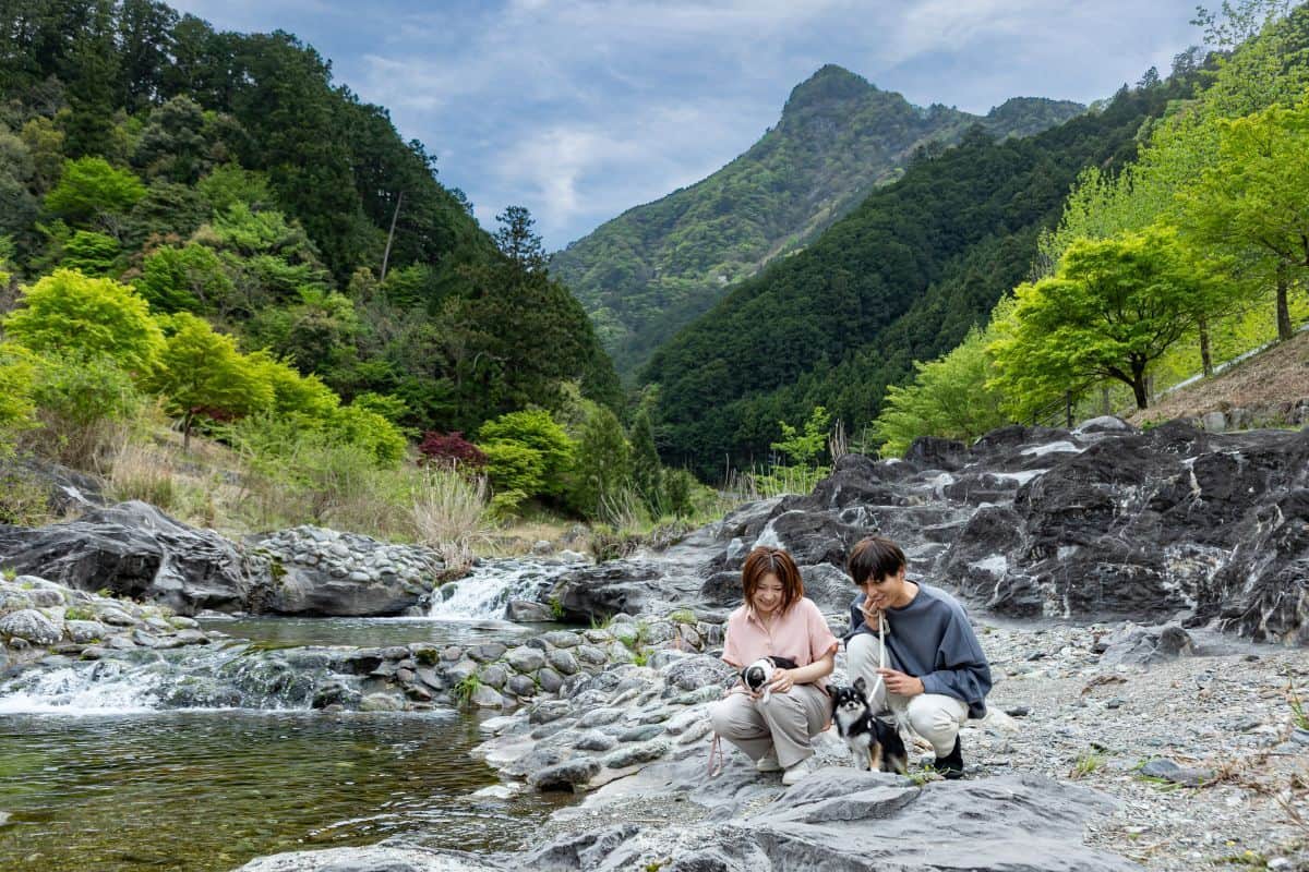 河川公園