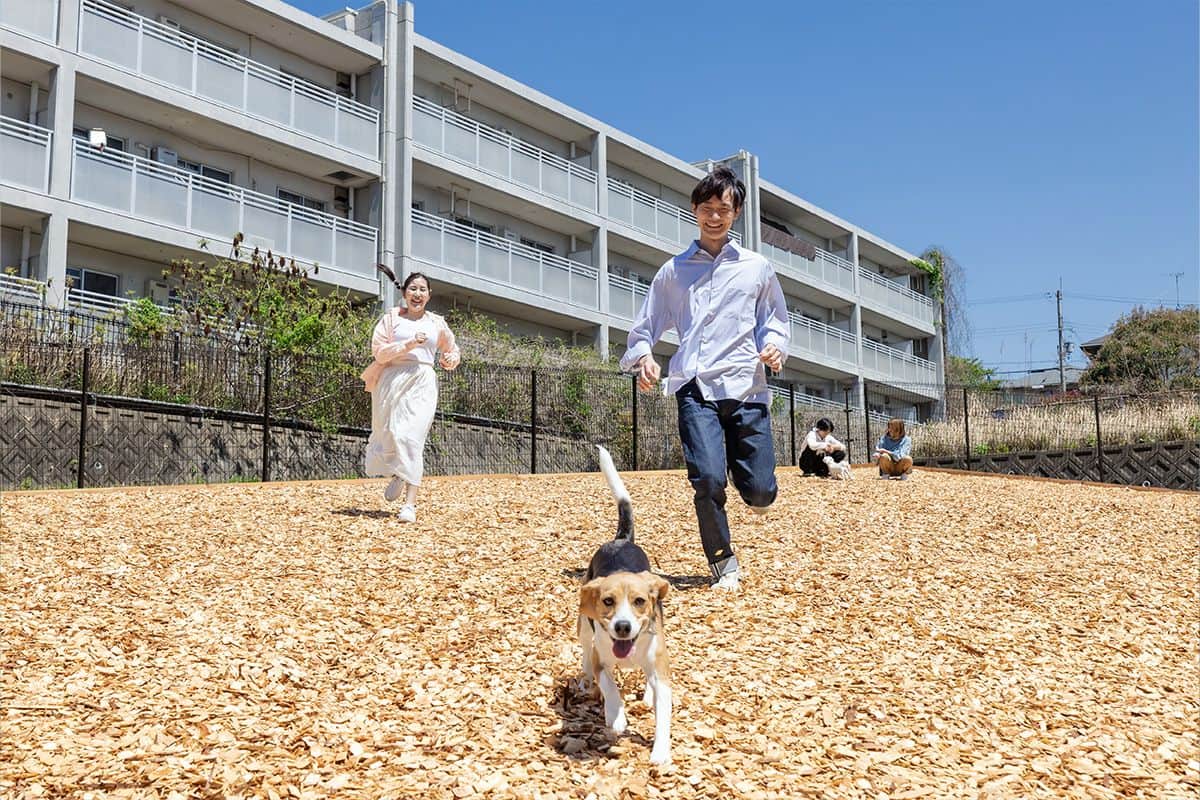 DOG PARK - 1