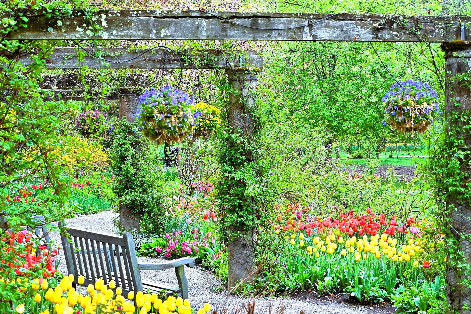 SPRING