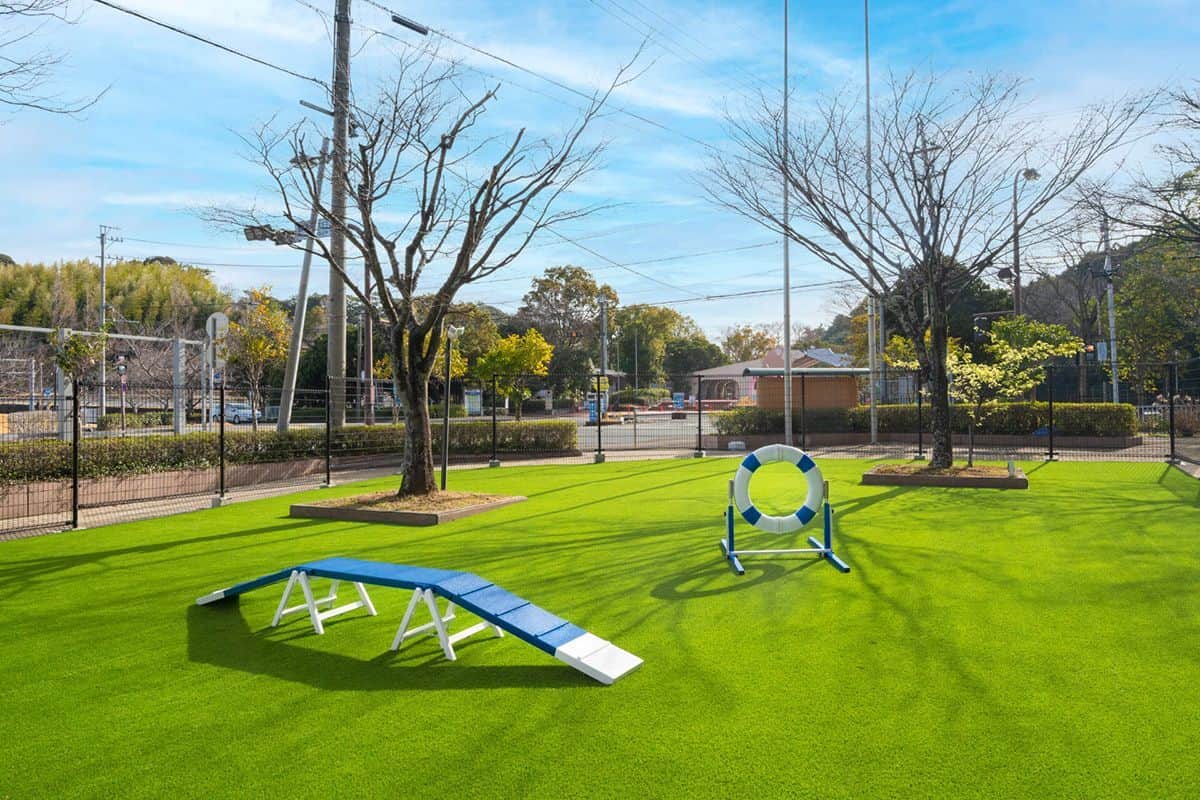 DOG PARK (Hotel Courtyard)