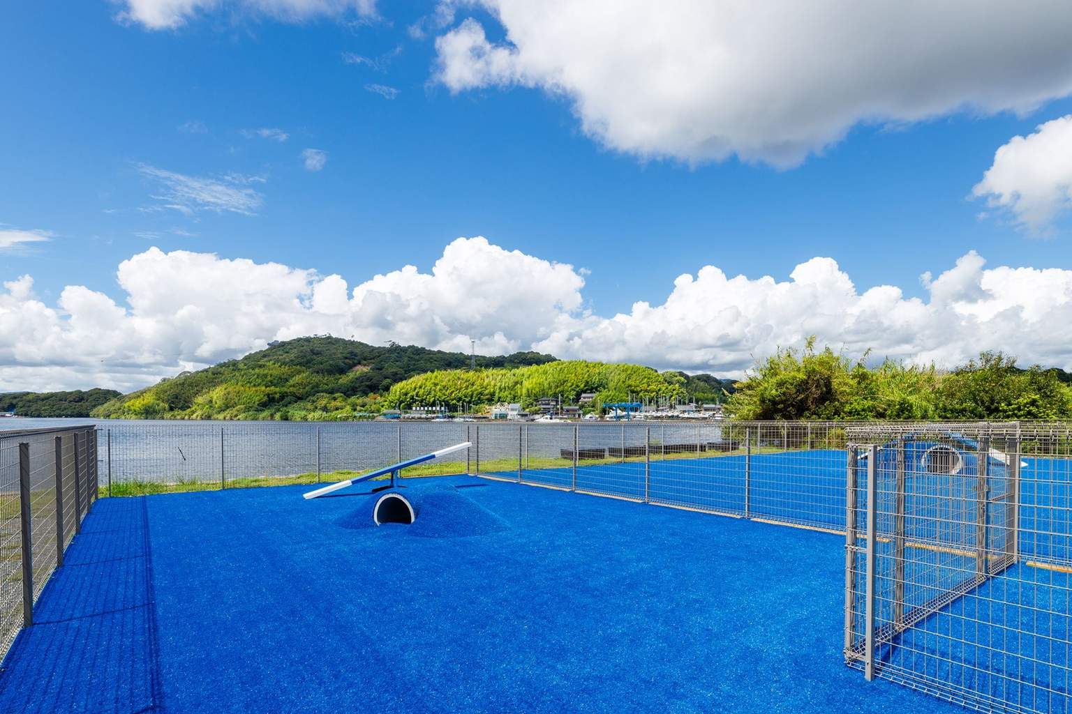 DOG PARK