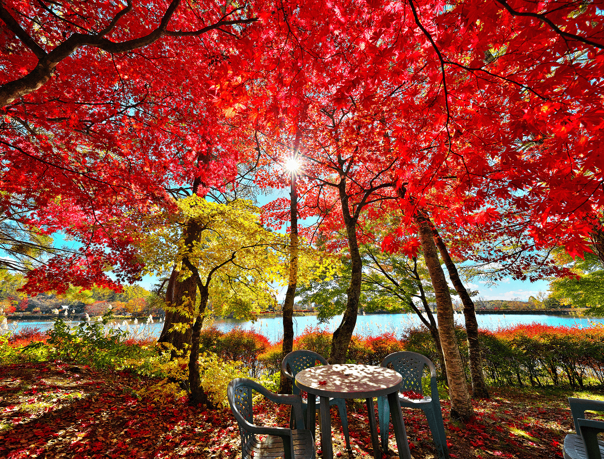 AUTUMN