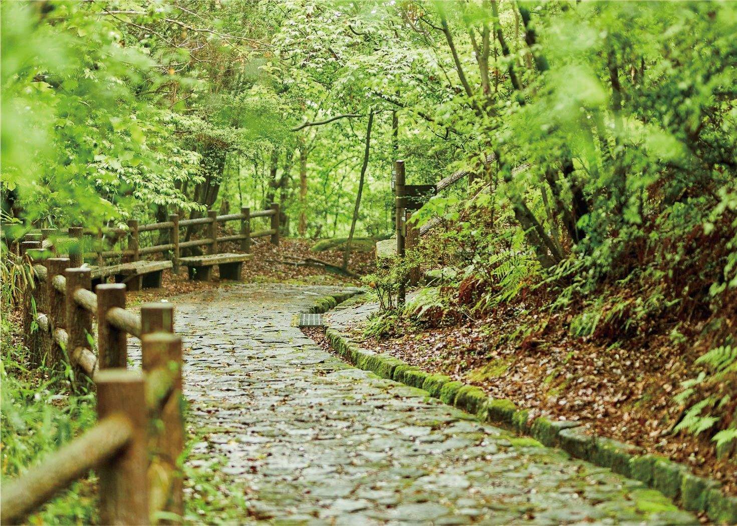 生駒山麓公園