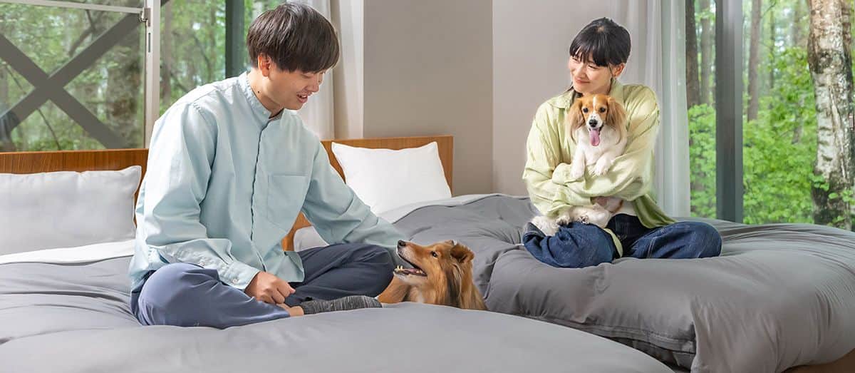 https://imagedelivery.net/Ahwf2rDz3ZiXm1qkpDKg1w/f985d4ae-c9b6-4bfe-567b-038d66ac5f00/public