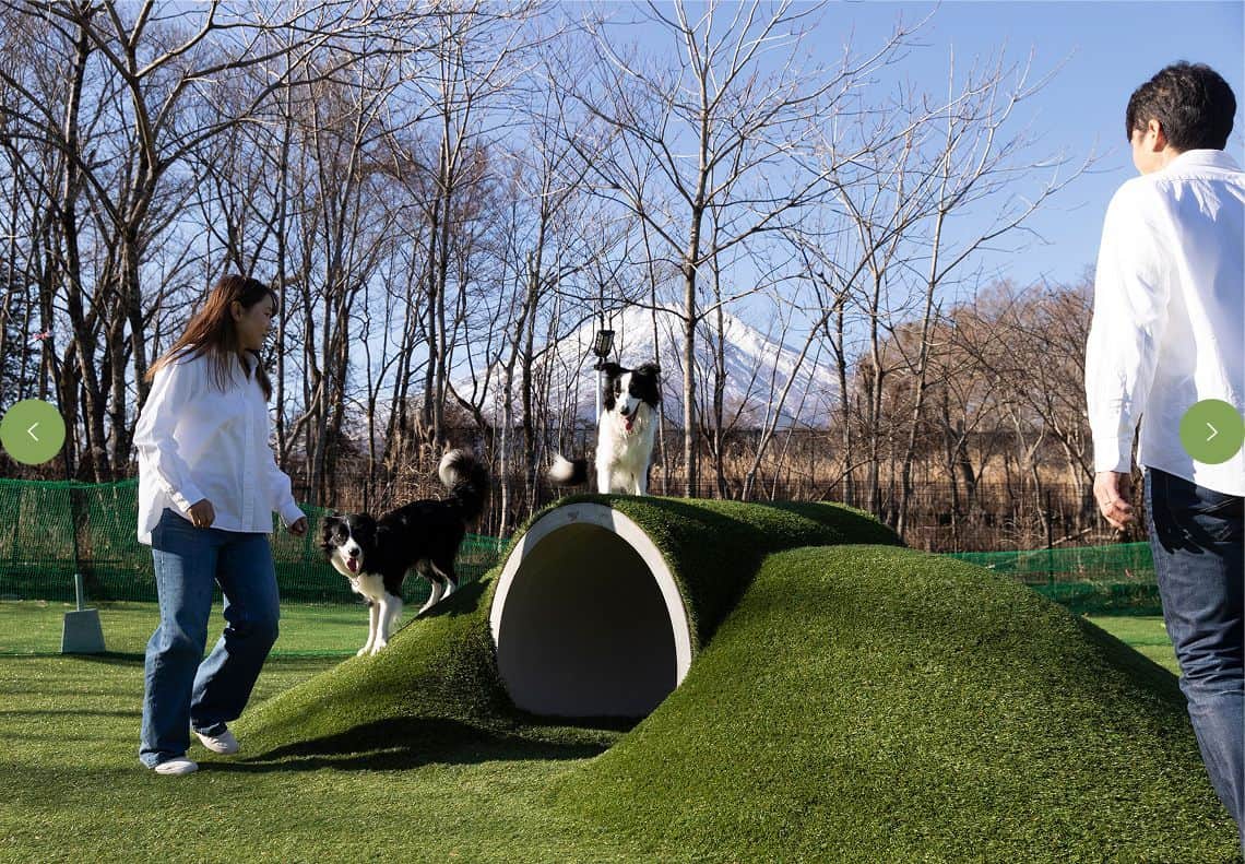 DOG PARK