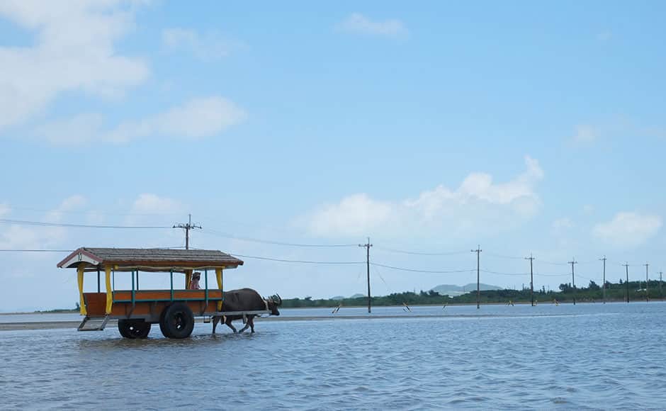 투어 데스크 - 0