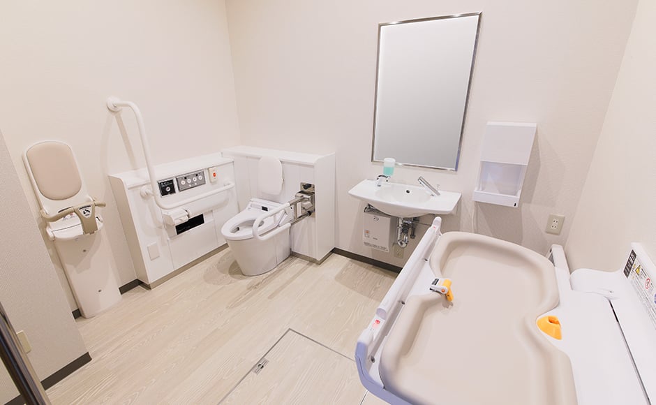 Accessible toilet - 0