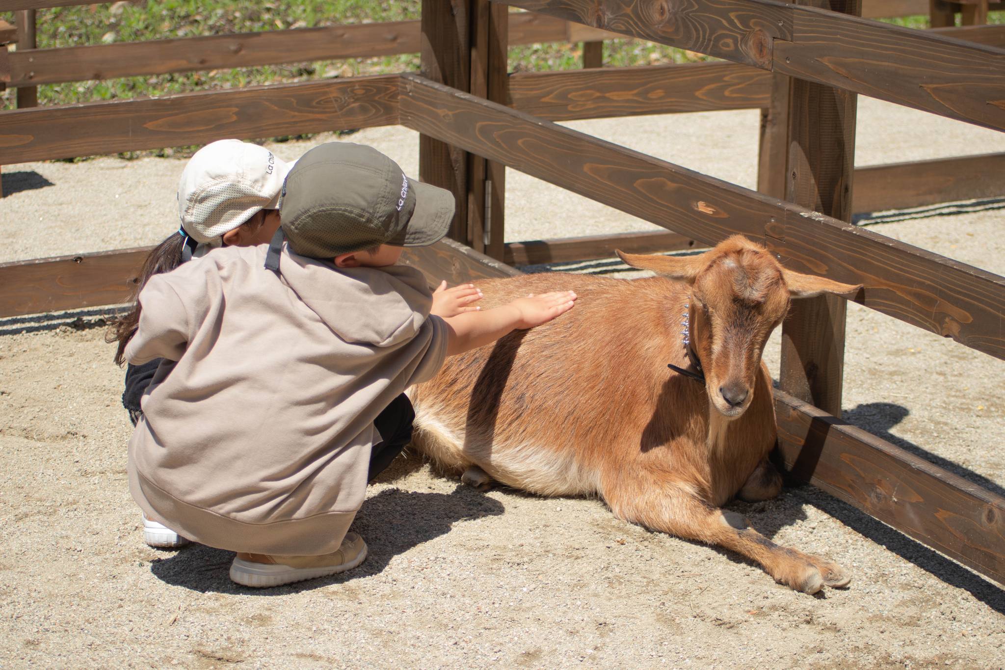 フォレストエリア - 1