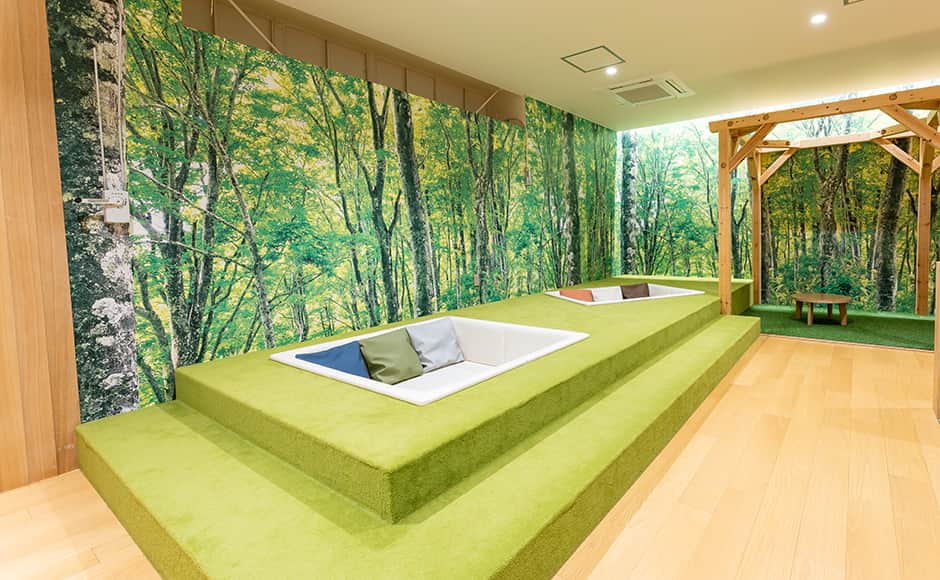 放松區域森林之音-2