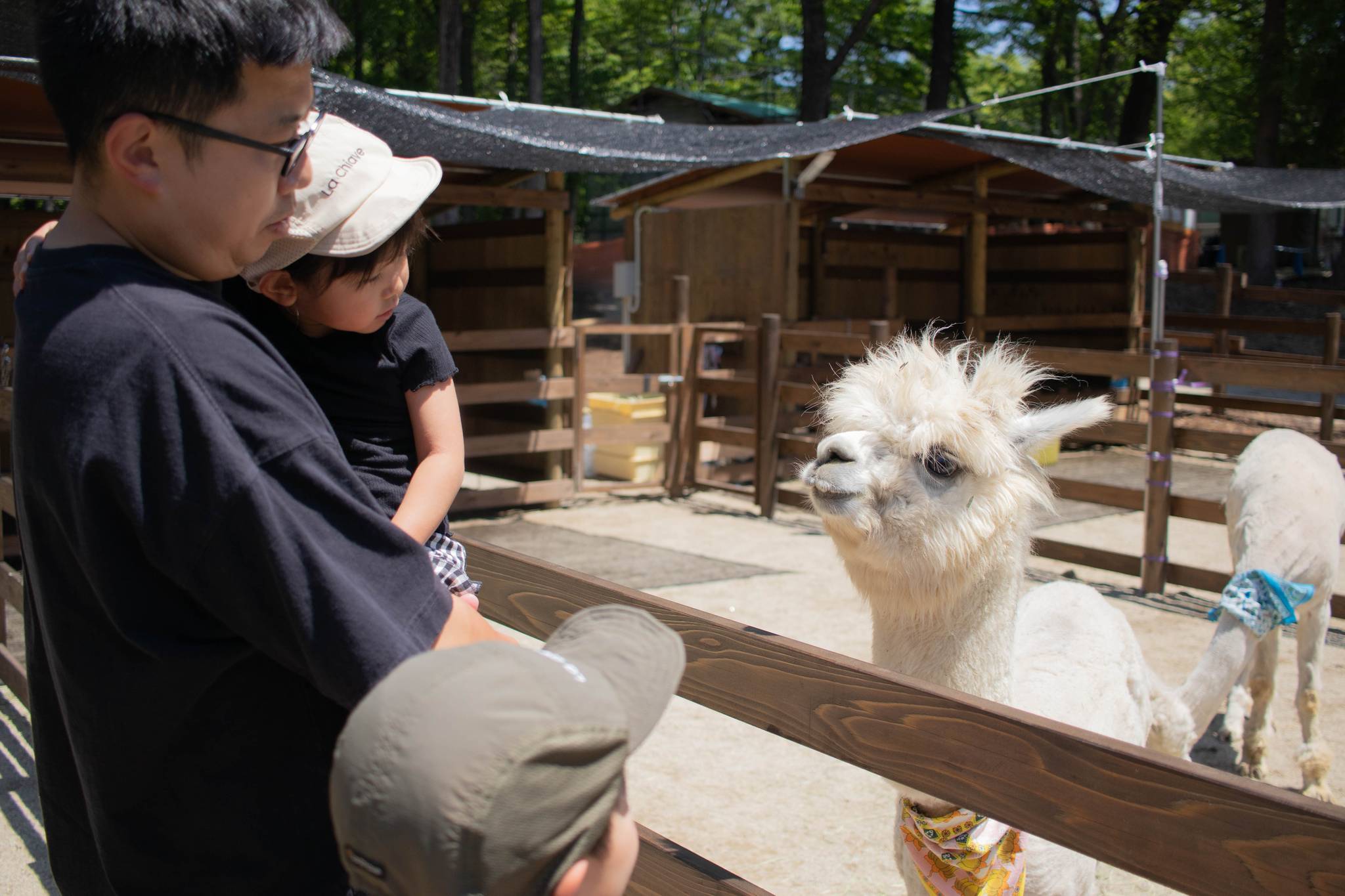 フォレストエリア - 0