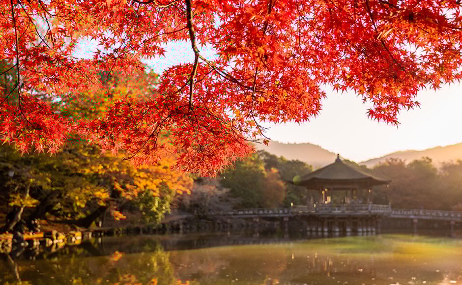 浮見堂 | アイコニア・ホスピタリティ【公式】