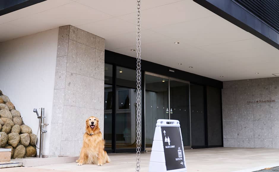 ペットハウス - 2