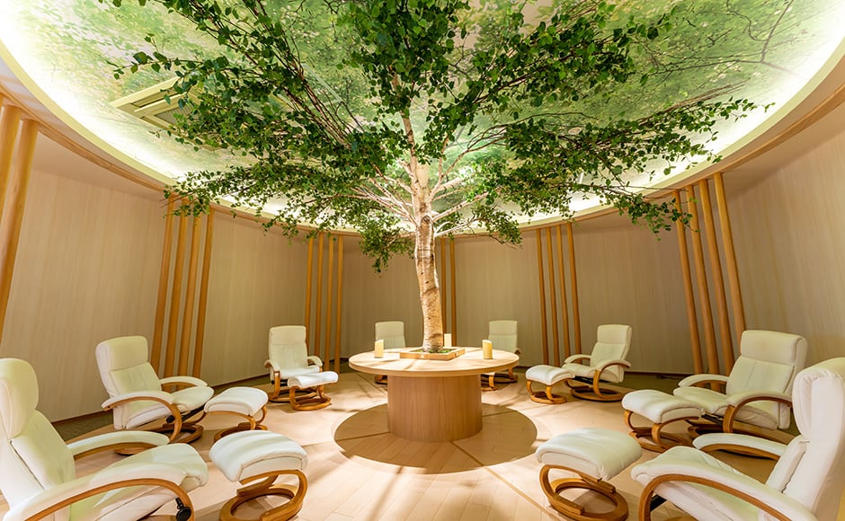 休息区 森林之音 - 4