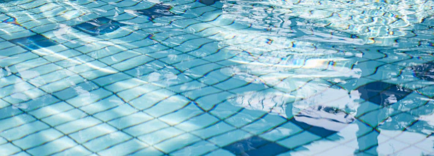 お子さまにも大人気です。 slide 2