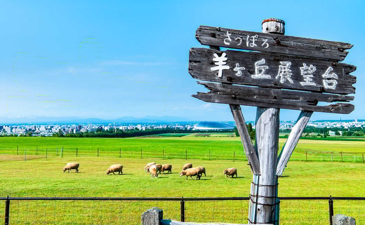 Experience the Charm of Northern Lands: A Journey to Hokkaido