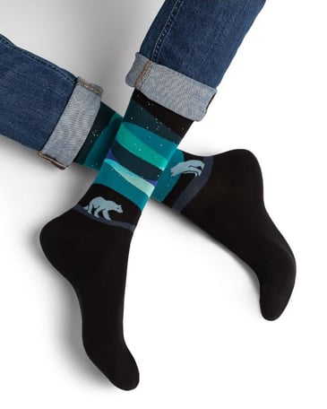 BLEU FORET CHAUSSETTE HOMME AURORES BOREALES