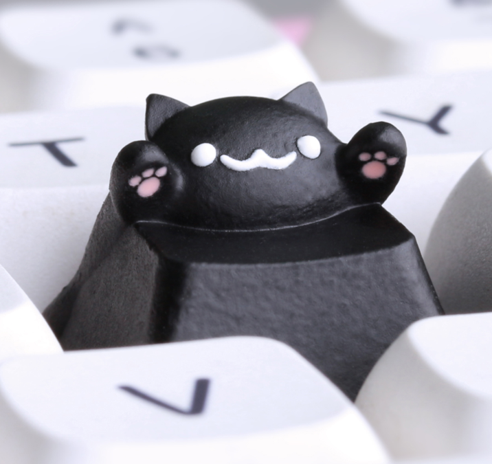 Black Catty