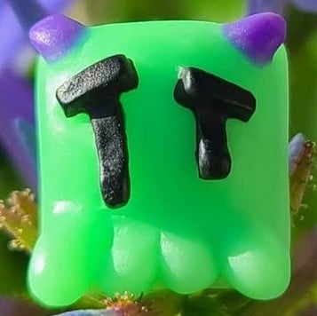 TT v1