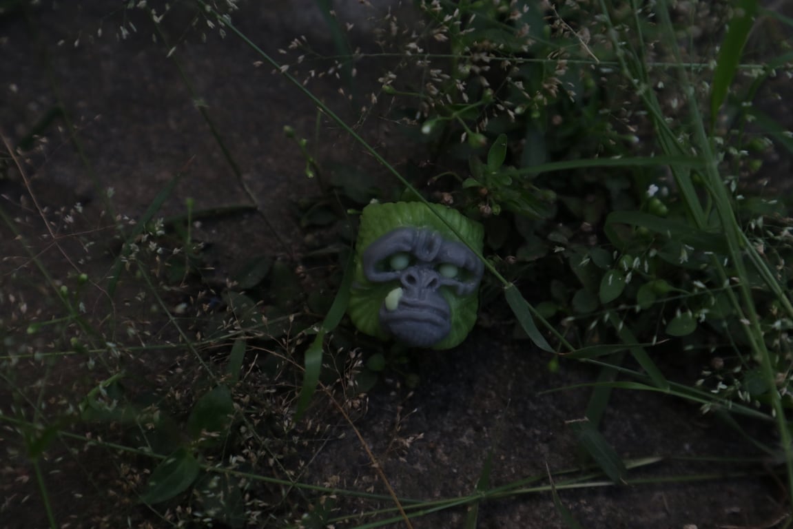 Moss