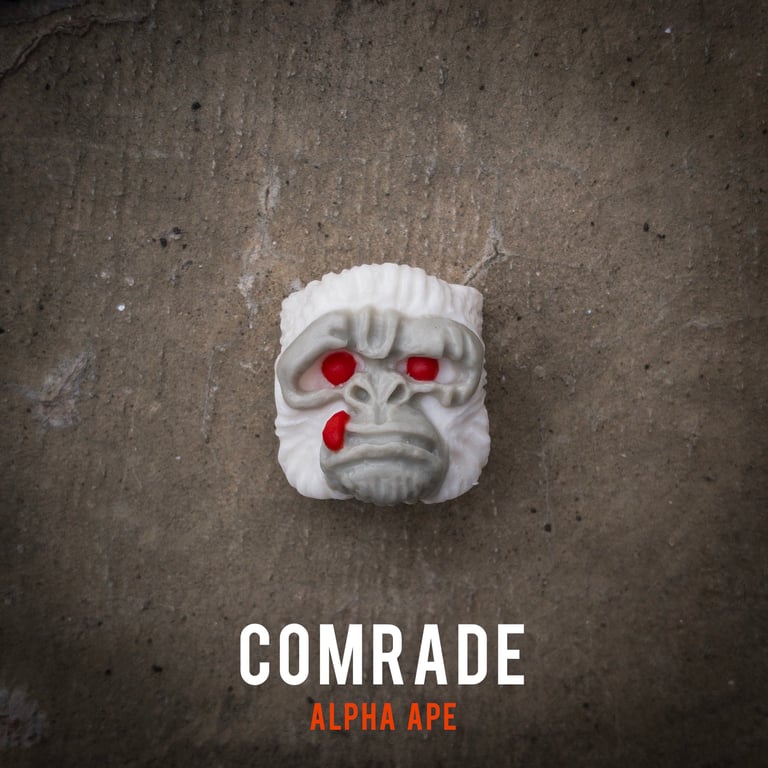Comrade