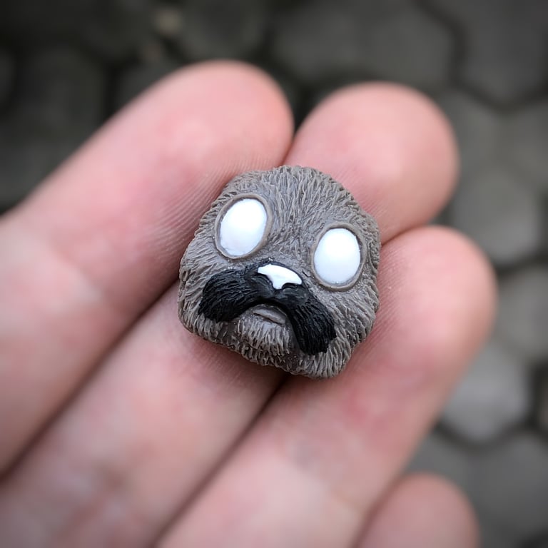 Dolchy