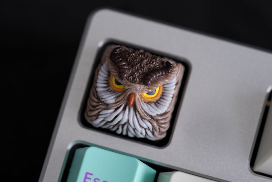 Friend Owl