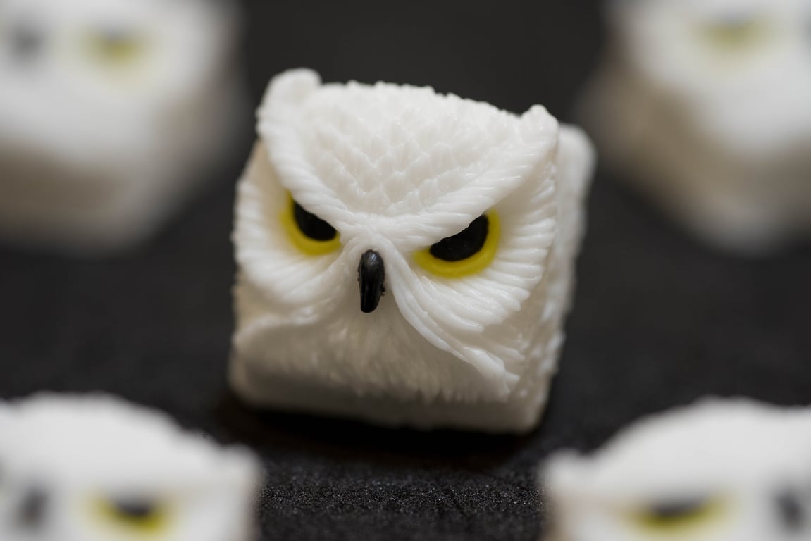Hedwig