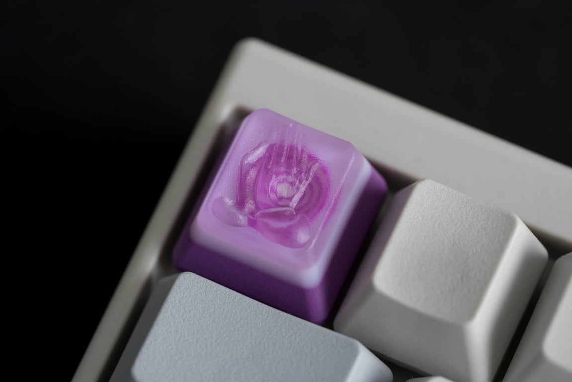 Onion