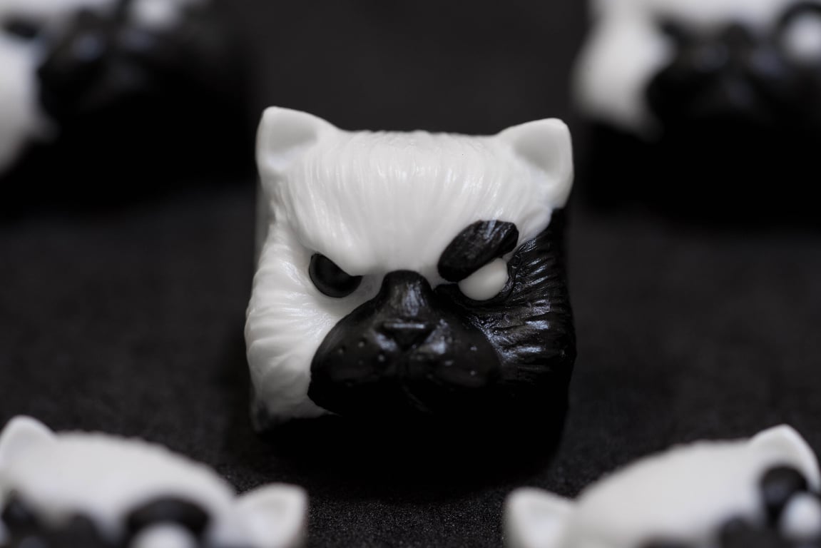 Yin Yang