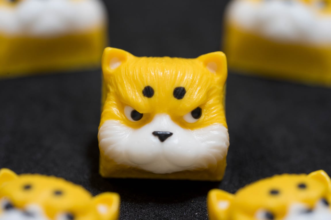 $DOGE